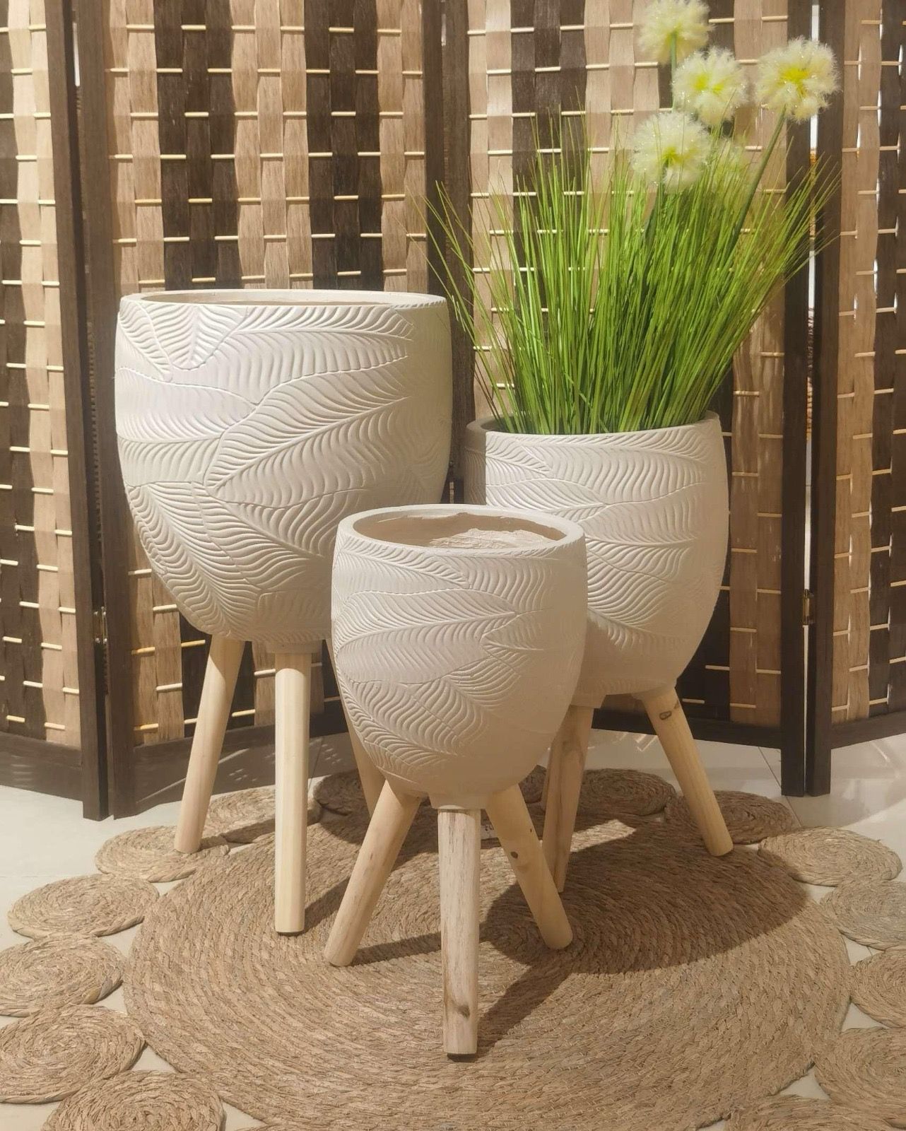Imported Planters