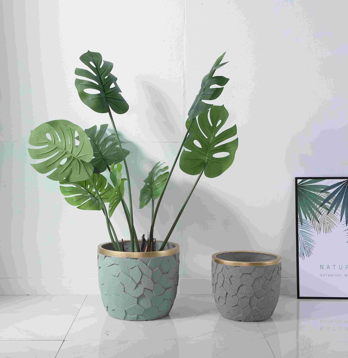 Imported Planters