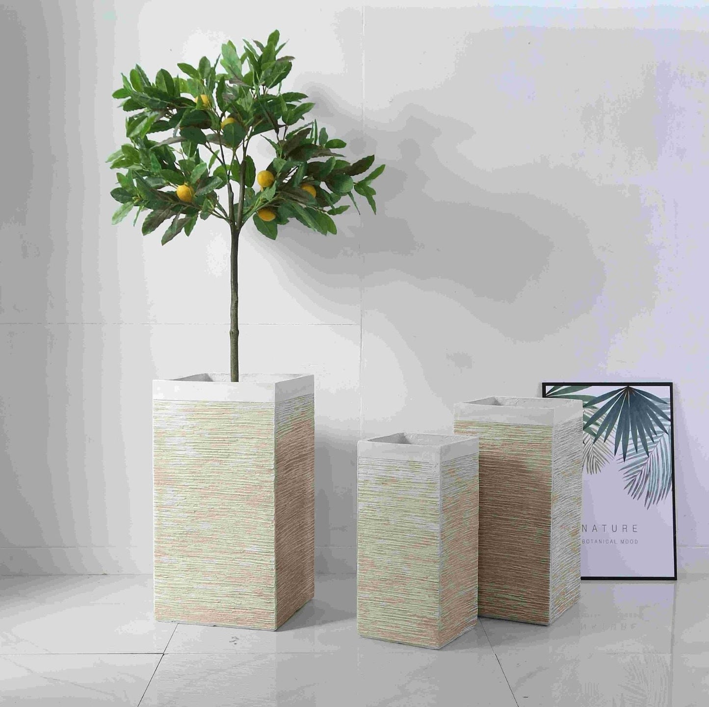 Imported Planters