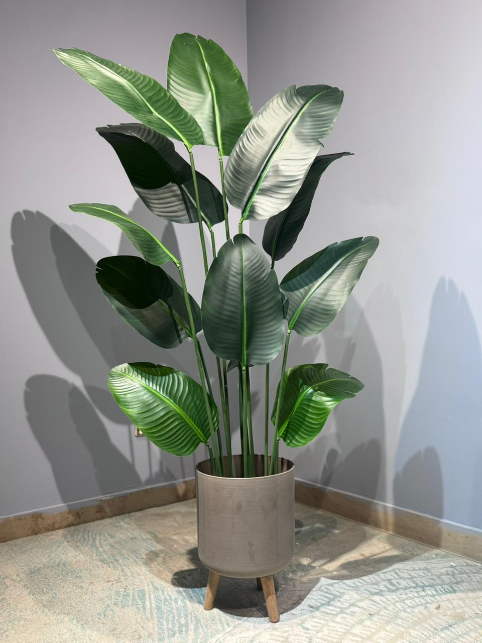 Banana Plant rubber Leaf