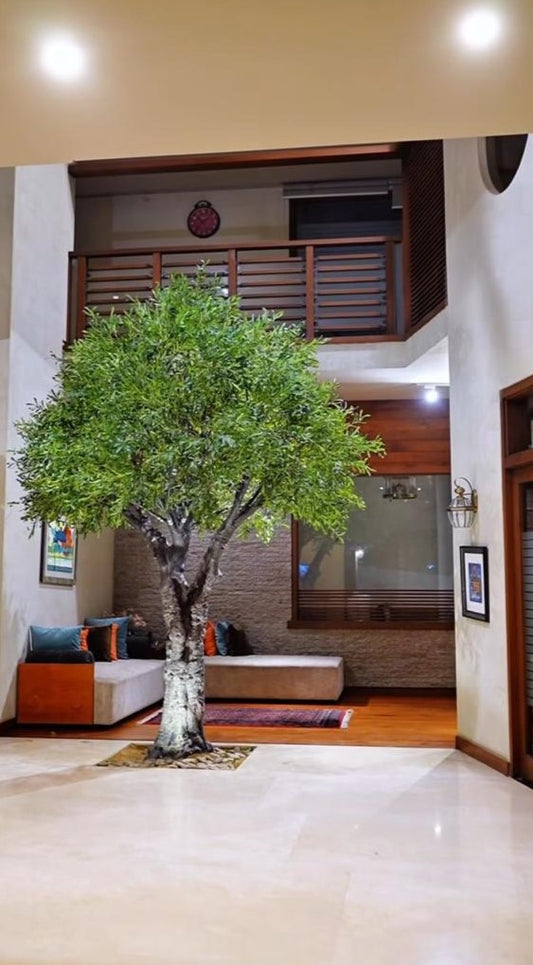 Artificial Olive Tree 18.5 Ft Realistic Indoor/Outdoor Decorative Olive Tree (Large Size)