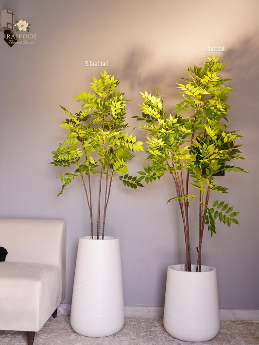 Neem tree with pvc pot white pot