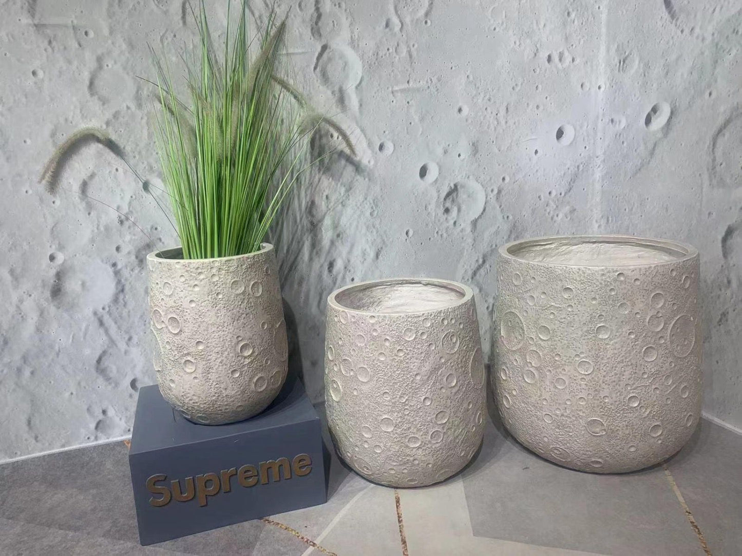 Imported Planters 