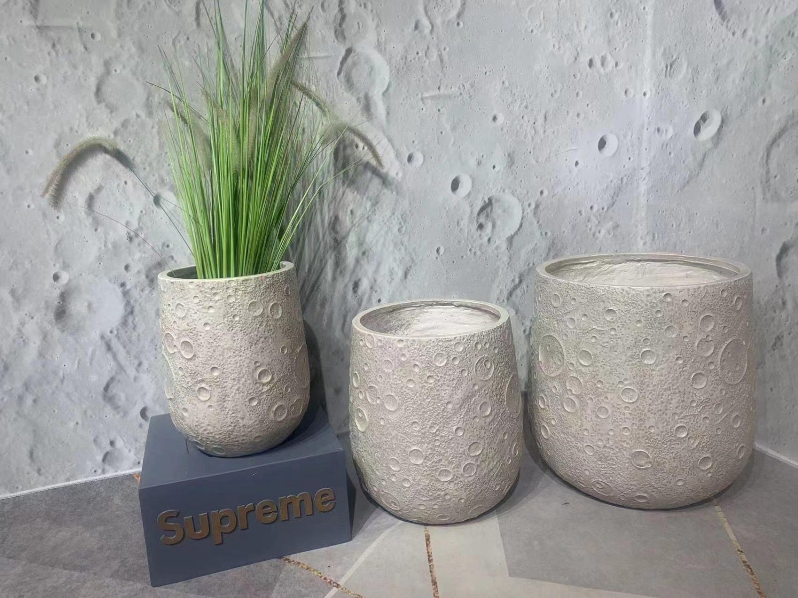 Imported Planters 