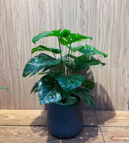Small Mix plant