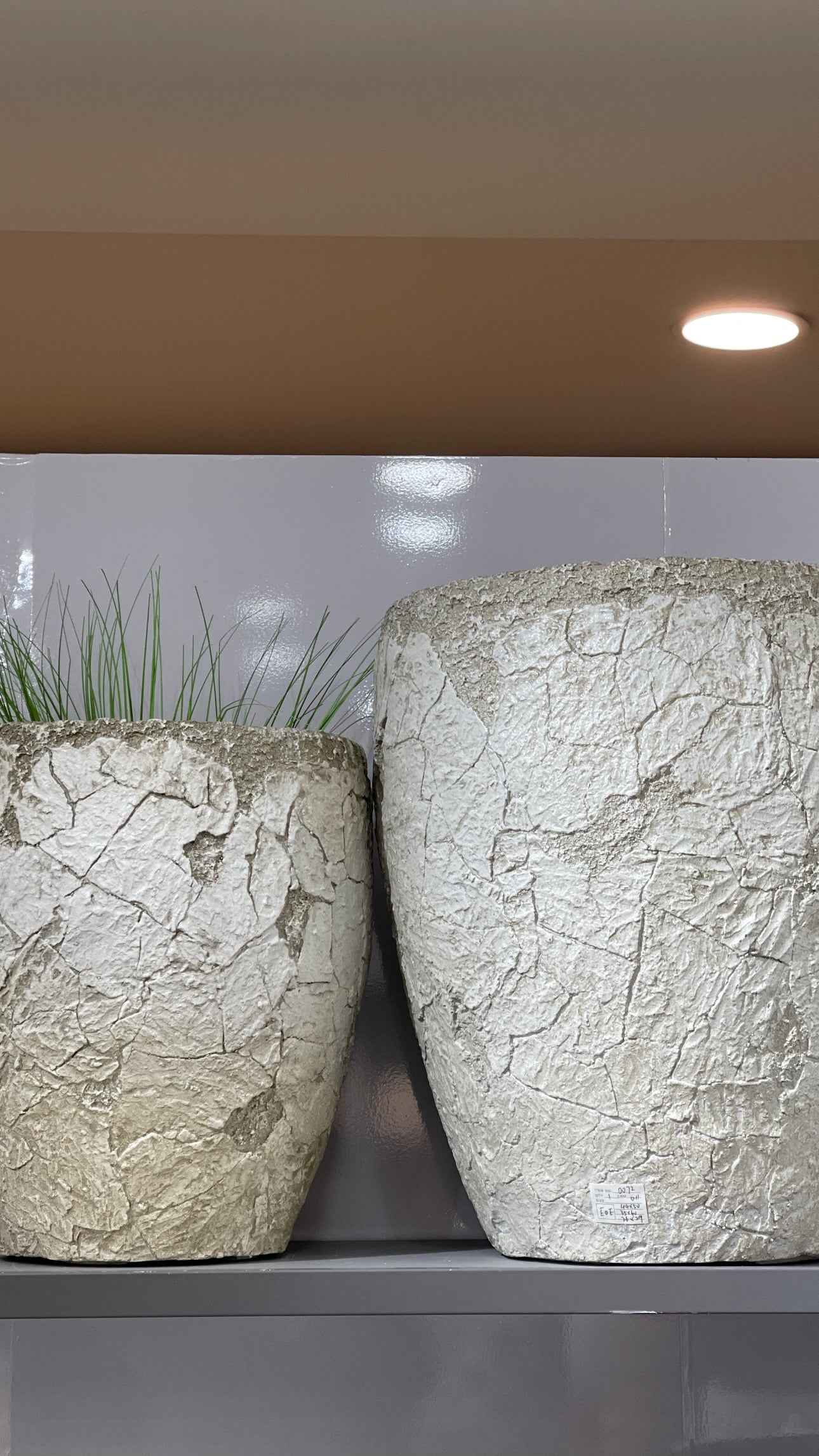 Premium Rustic Stone-Finish Planter – Luxury Cracked-Texture Ceramic Pot (Available in 2 Sizes)