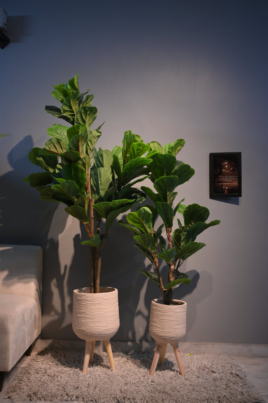 Chic Artificial Fiddle Leaf Fig Set without Planters