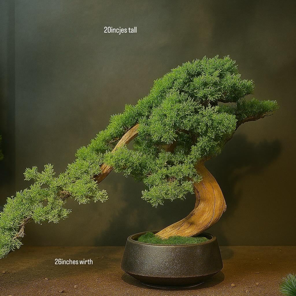 Premium Juniper Bonsai Tree – 20 Inch Tall | Decorative Indoor Plant for Home & Office