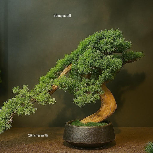 Premium Juniper Bonsai Tree – 20 Inch Tall | Decorative Indoor Plant for Home & Office