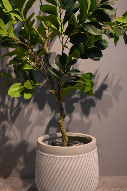 Artificial Ficus Plant (4.5ft) without Standed Planter