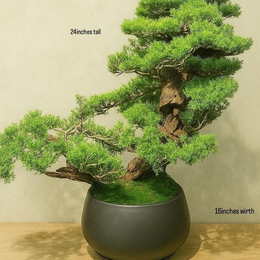 Premium Bonsai Tree – 24 Inch Tall | Decorative Indoor Plant for Home & Office