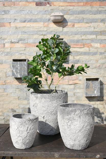 Imported Ceramic Planter Gray– Premium Gloss Finish | Modern Home & Office Decor