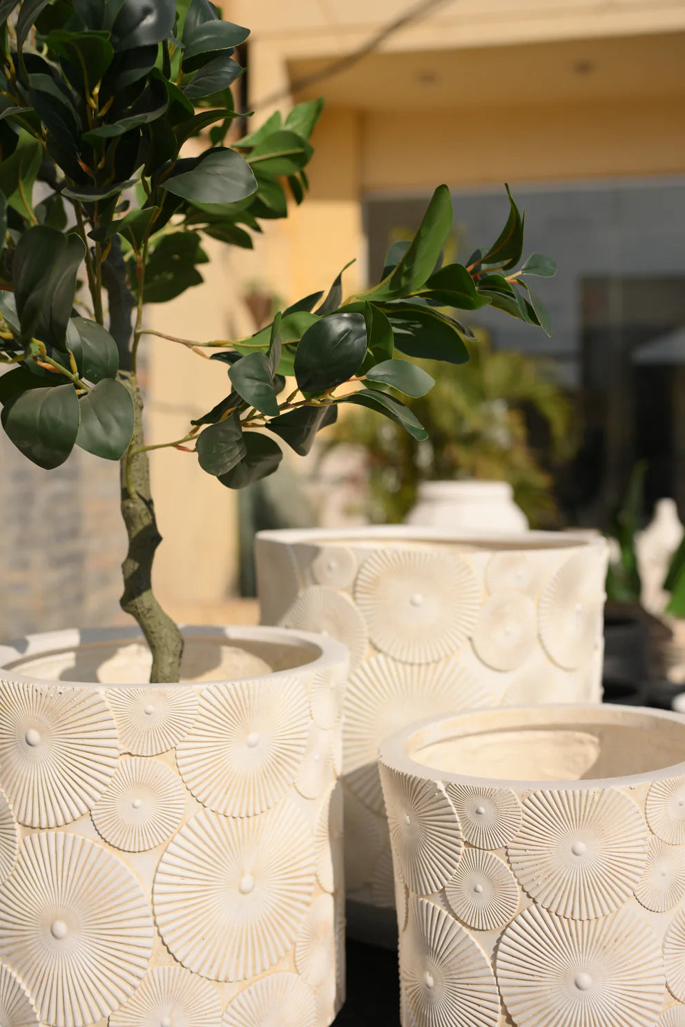 Sunburst Medallion Artisanal Planter