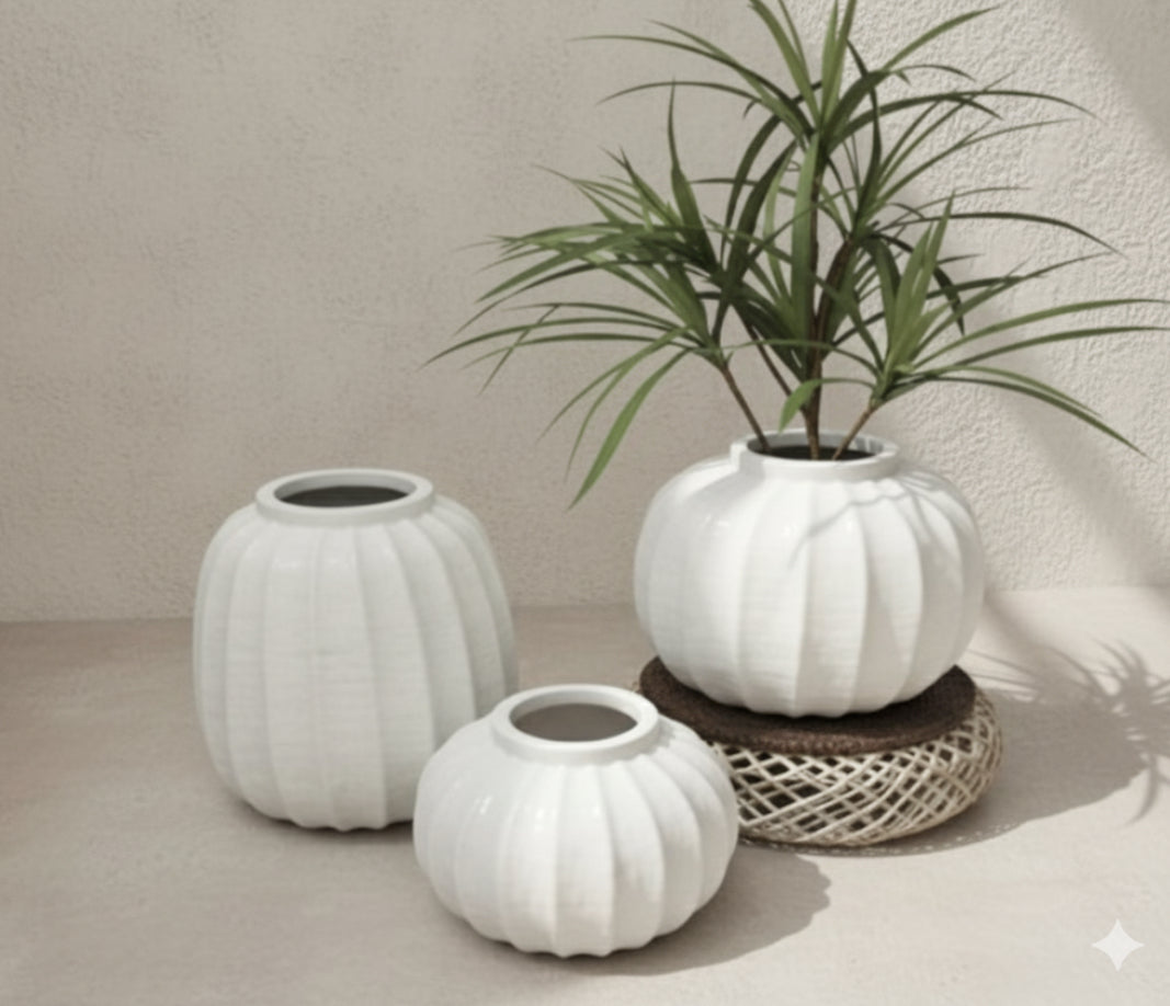 White ceramic planters/pot