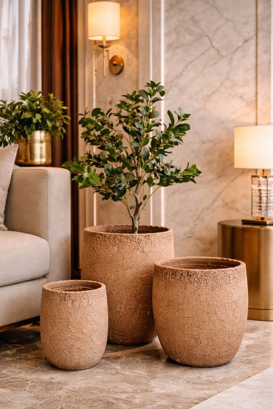 Imported Ceramic Planter for Indoor Plants | Premium Home Decor