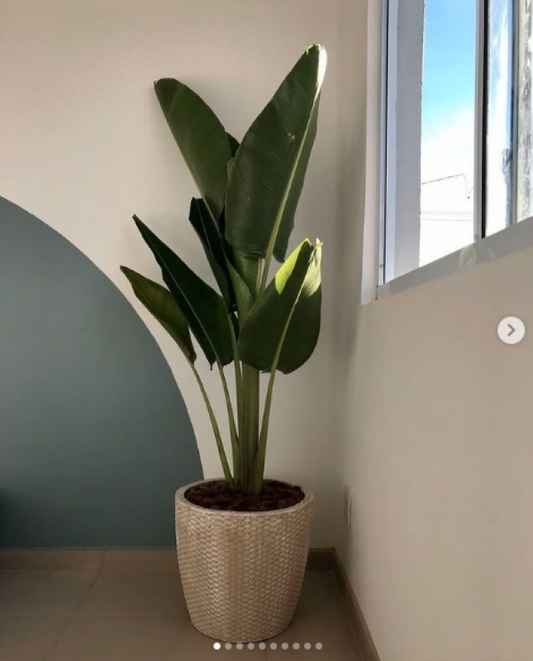 GOPLUS Artificial Tree