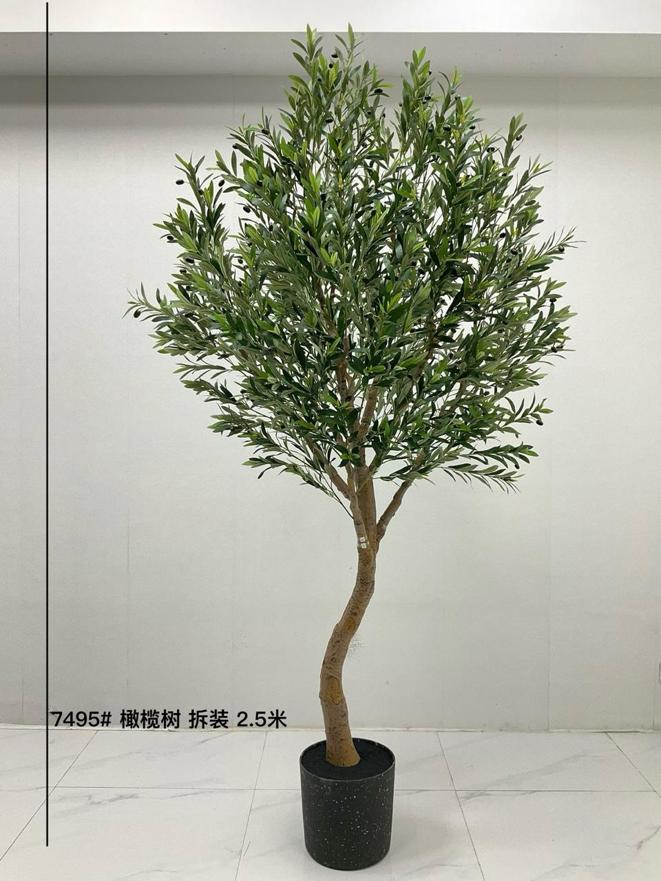 Green Plants Lilies Bamboo