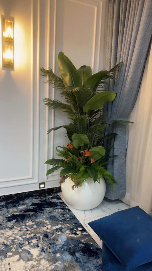 Custom Arrangement Plant in White Round Planter