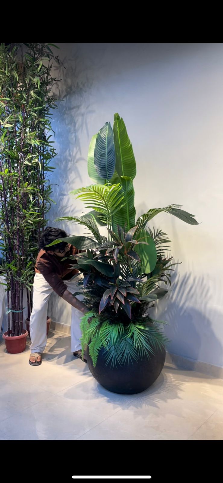 Custom Tropical Arrangement Plant in Large Black Round Planter