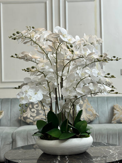Orchid Arrangment Height |26inch / Width 22 inch