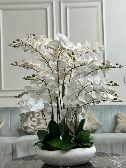 Orchid Arrangment Height |26inch / Width 22 inch