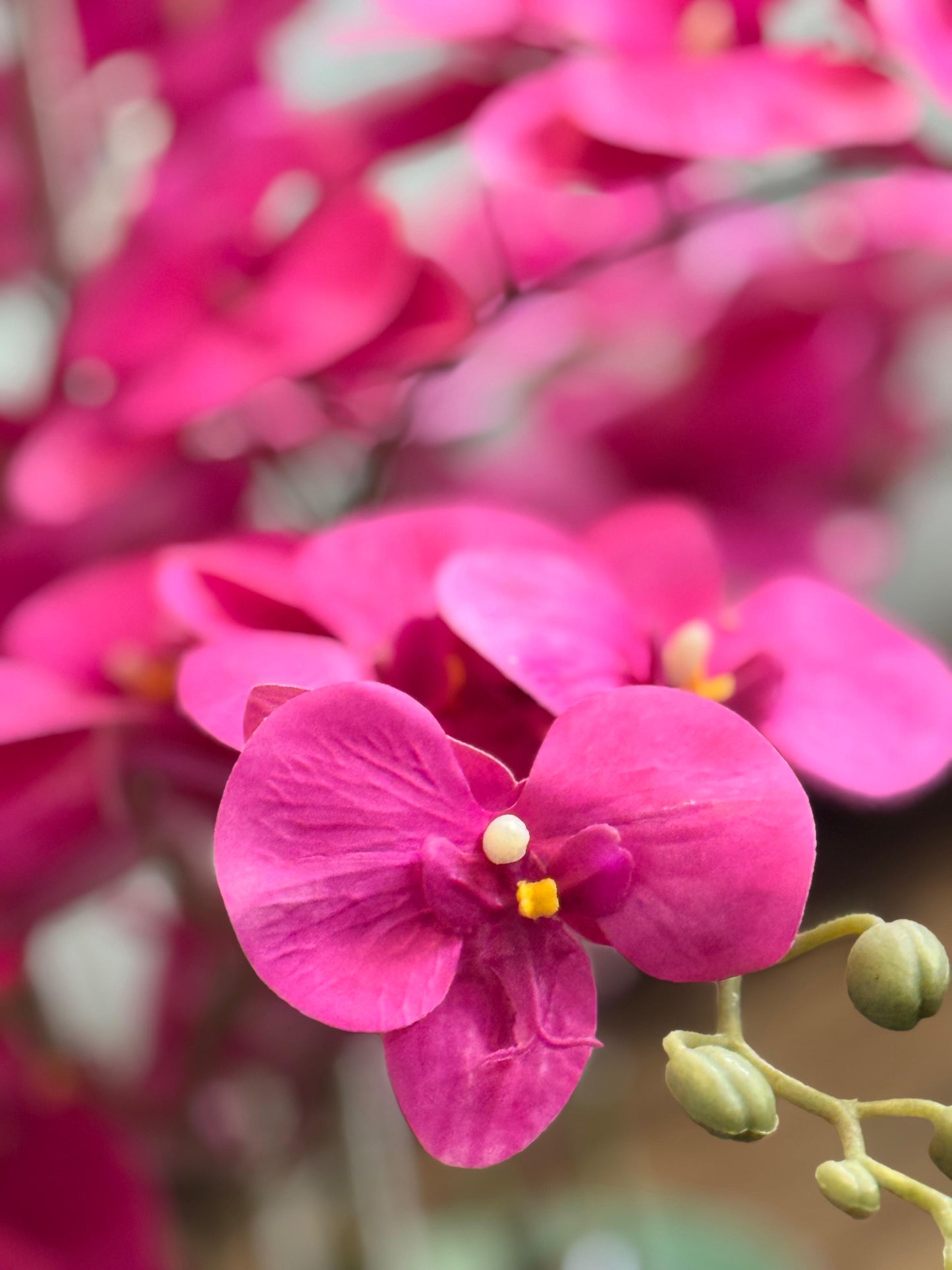 Orchid Arrangment Height |26inch / Width 22 inch