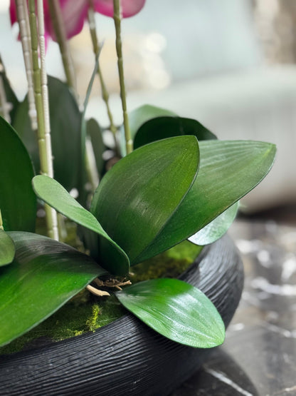 Orchid Arrangment Height |26inch / Width 22 inch