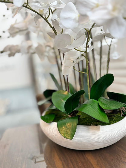 Orchid Arrangment Height |26inch / Width 22 inch