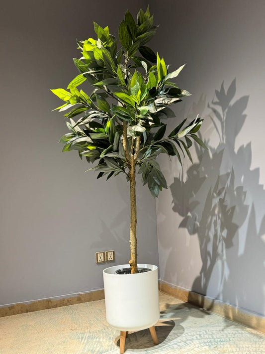 Artificial Ficus / Laurel Leaf