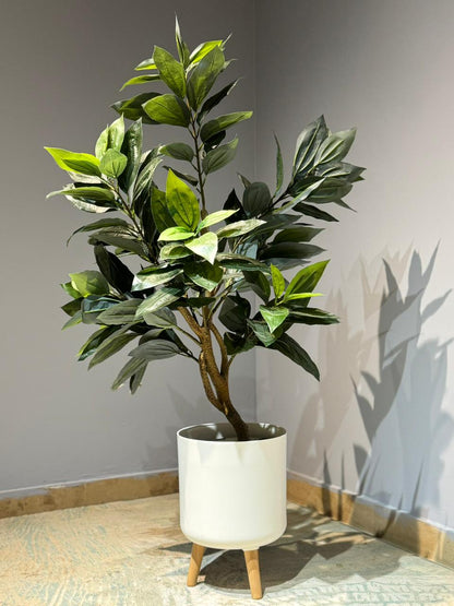Artificial Ficus / Laurel Leaf