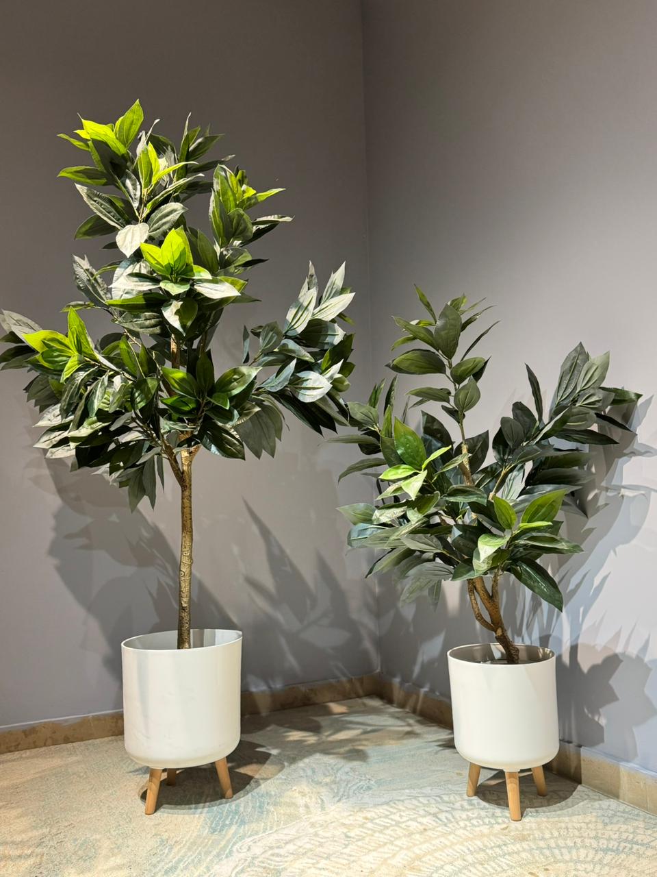 Artificial Ficus / Laurel Leaf