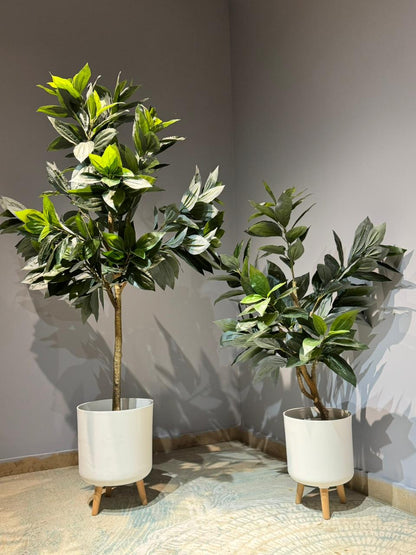 Artificial Ficus / Laurel Leaf