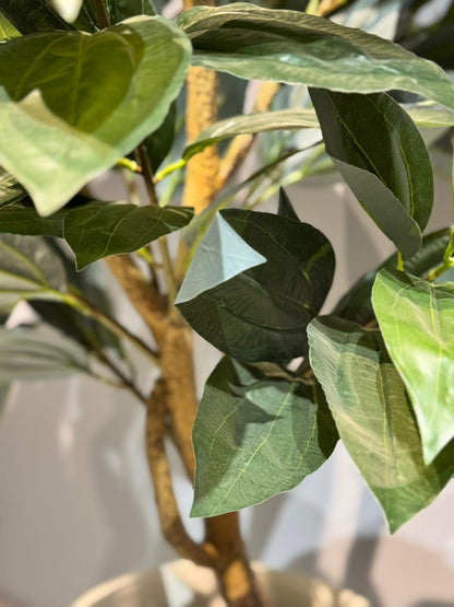 Artificial Ficus / Laurel Leaf