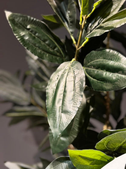 Artificial Ficus / Laurel Leaf