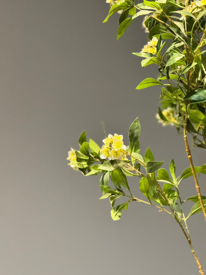 Artificial Jasmine Flower Plant