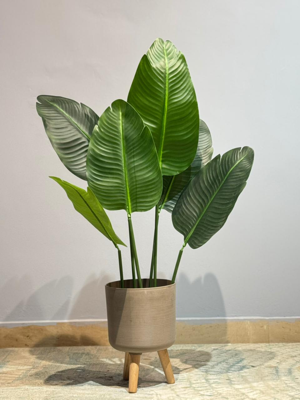 Banana Plant rubber Leaf