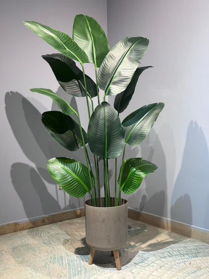 Banana Plant rubber Leaf