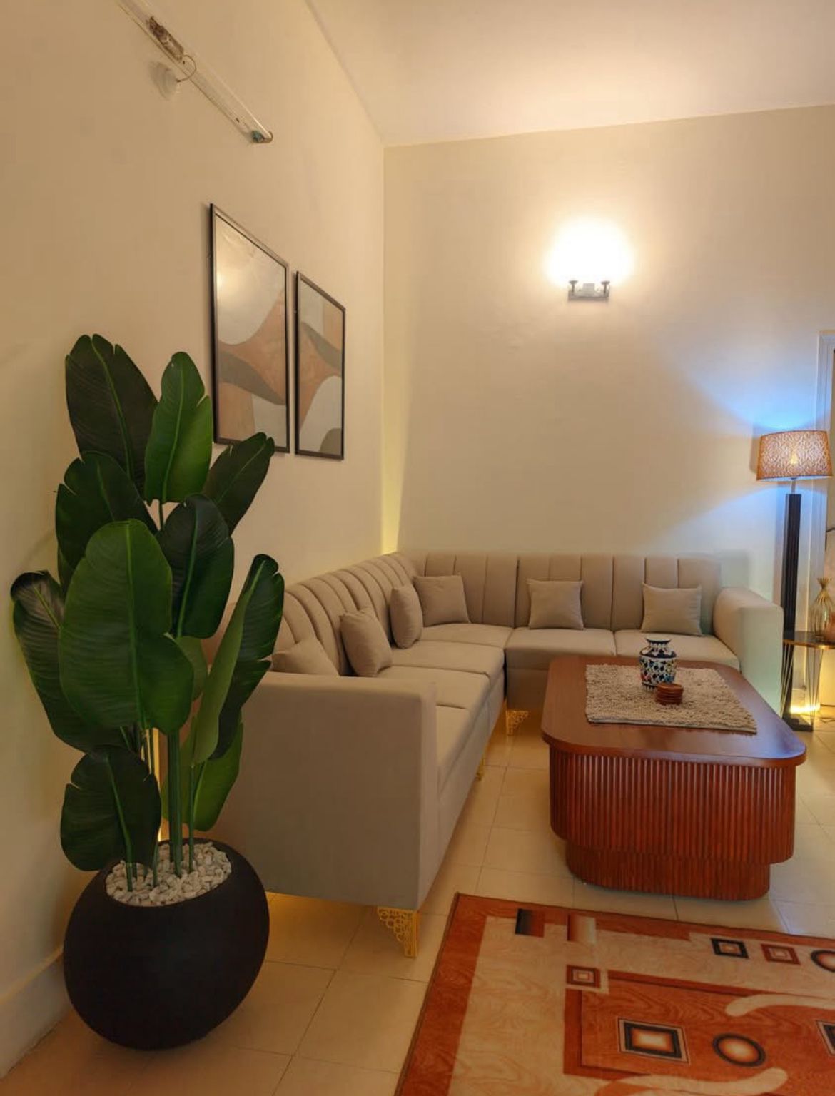 Banana plant Ruber leaf