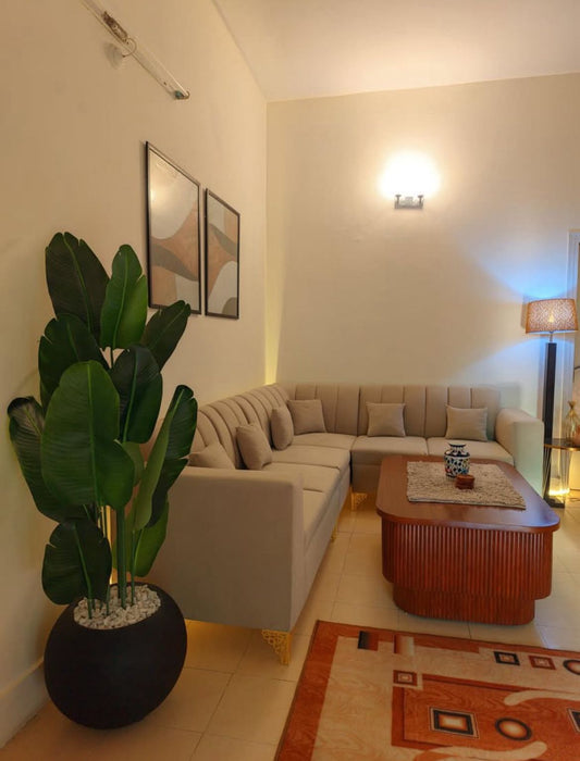 Banana plant Ruber leaf