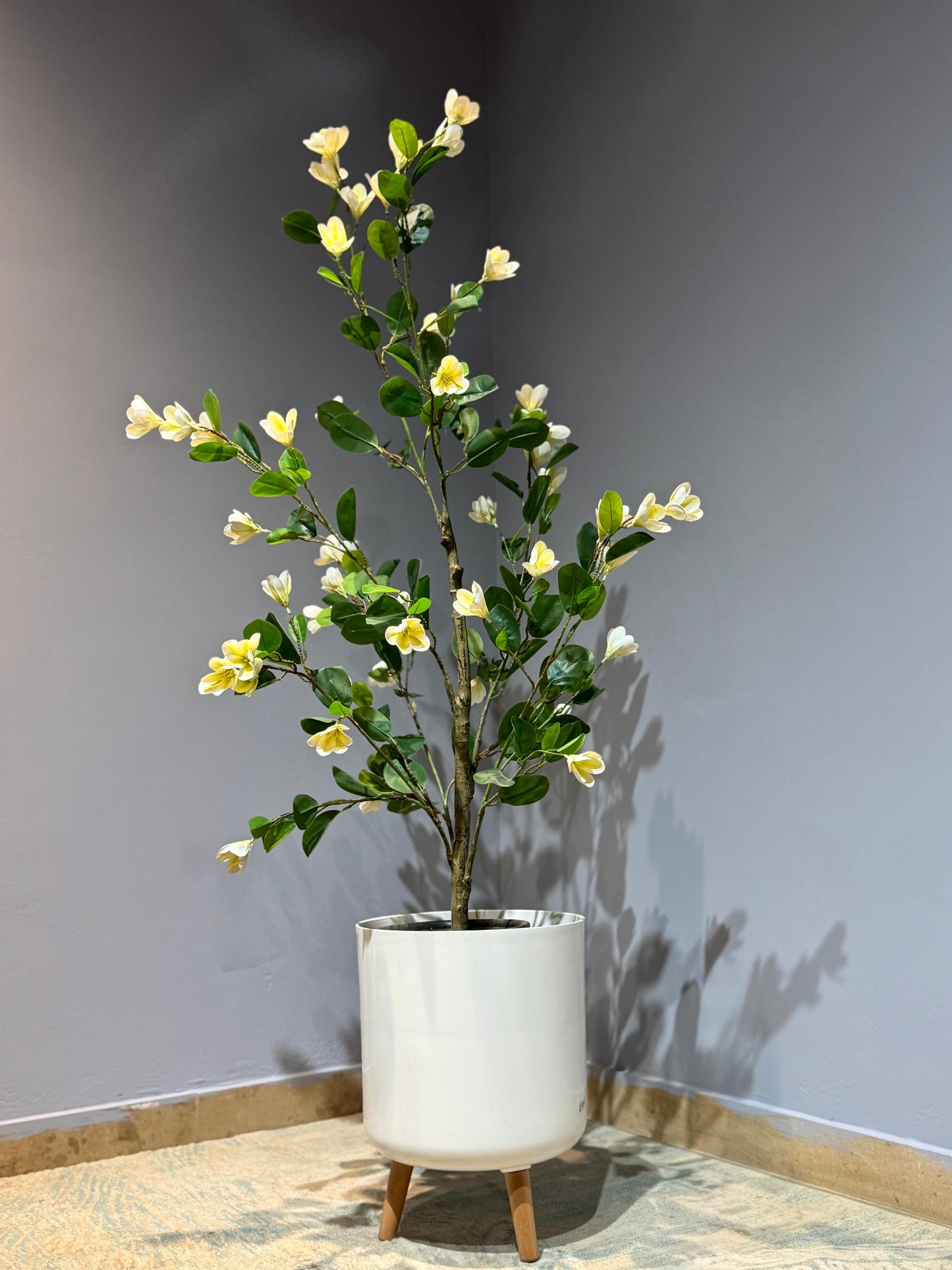 Faux magnolia Plant