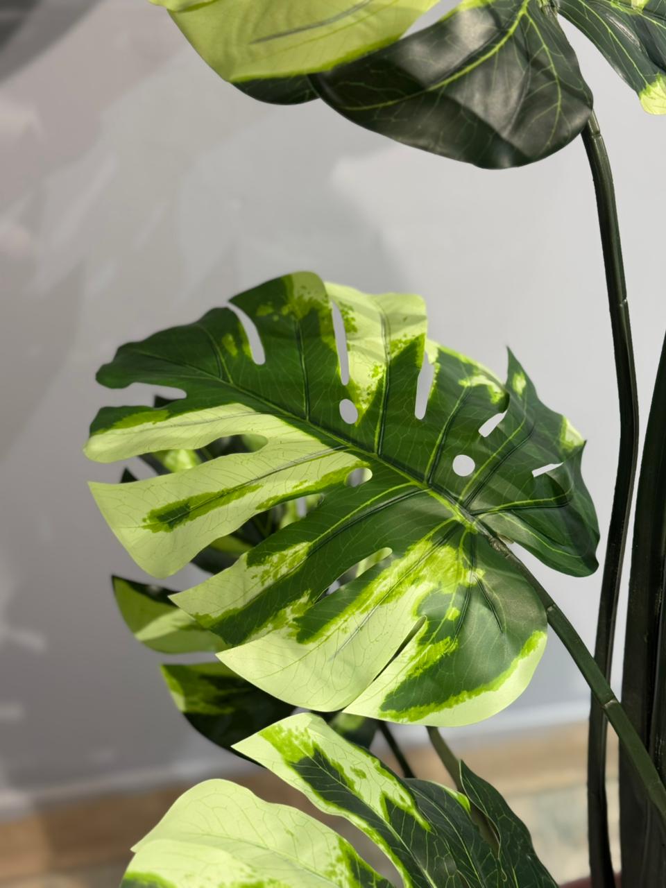 Ivory Artificial Monstera Plant