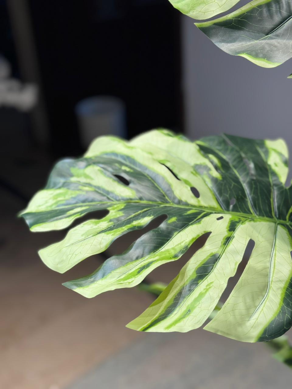 Ivory Artificial Monstera Plant