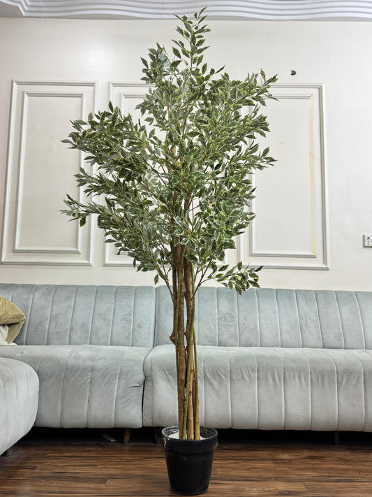 Artificial Variegated Ficus Tree